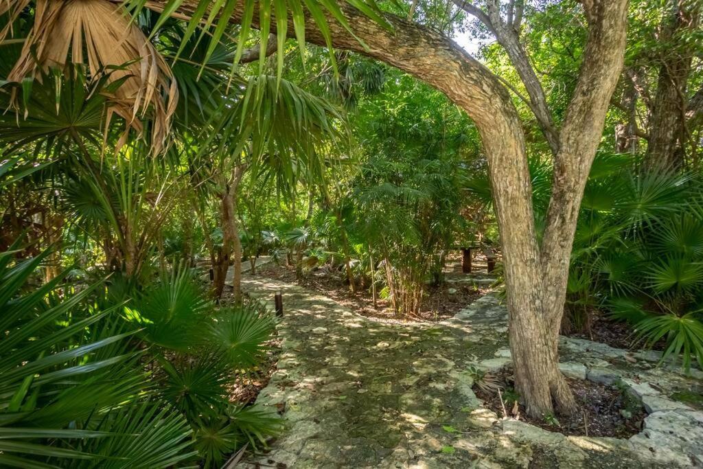 Apartamento Ochoa 209 Luxury Private Club Playa del Carmen